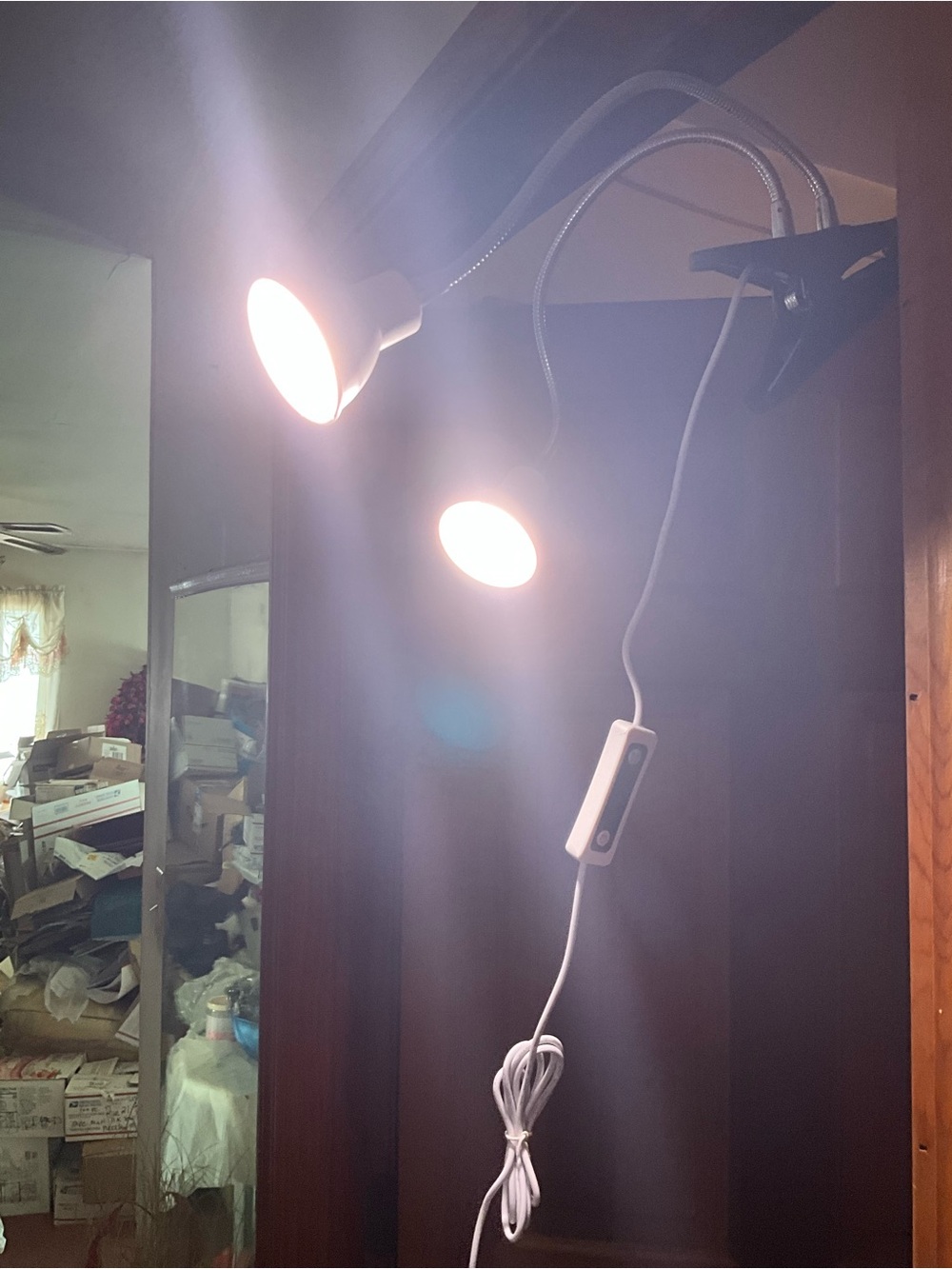 Adjustable Dual-Head Clip-On flexible Lamp growing lamp,shows,desk NEW many uses